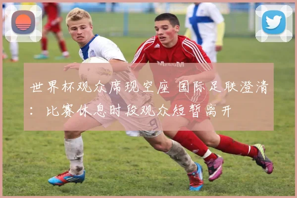 世界杯观众席现空座 国际足联澄清：比赛休息时段观众短暂离开